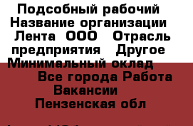Подсобный рабочий › Название организации ­ Лента, ООО › Отрасль предприятия ­ Другое › Минимальный оклад ­ 22 500 - Все города Работа » Вакансии   . Пензенская обл.